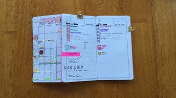 How I Use My DIYfish Inserts