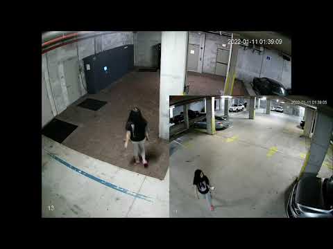 Seattle Parking Garage - Theft Apprehended and Recovery