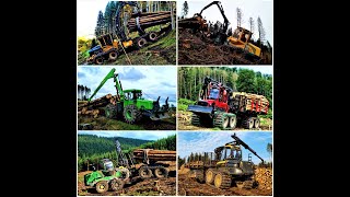 Forwarder-Compilation 2021 Best Of 2021 Rückblick Forwarder By Forestmachine Impressions