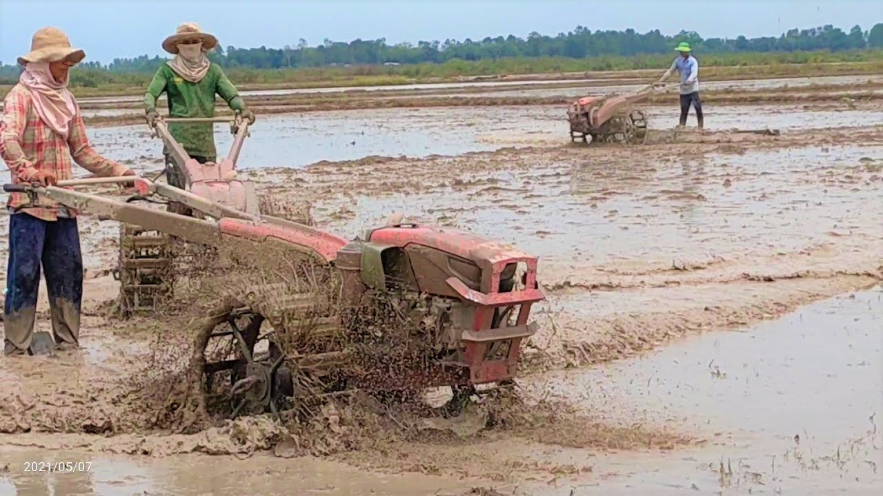 គោយន្តច្រើនចុះរាស់ដីស្រែតែមួយ Many Tractors plow one field