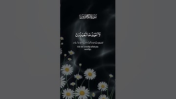 #سورة_الكافرون #قران_كريم #اكسبلور #المصحف #دويتو #لايك #الرحمن