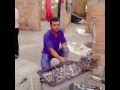 كوي كوي اجمل اغنية كردية 