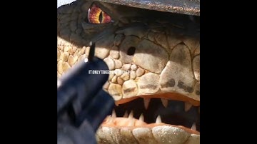 The names... Rango #rango #rangoedit #johnnydepp #nickelodeon #western #edit