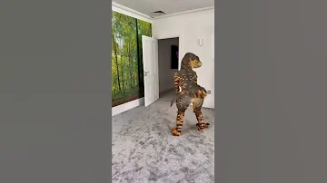 Jurassic World Dinosaur Shows 