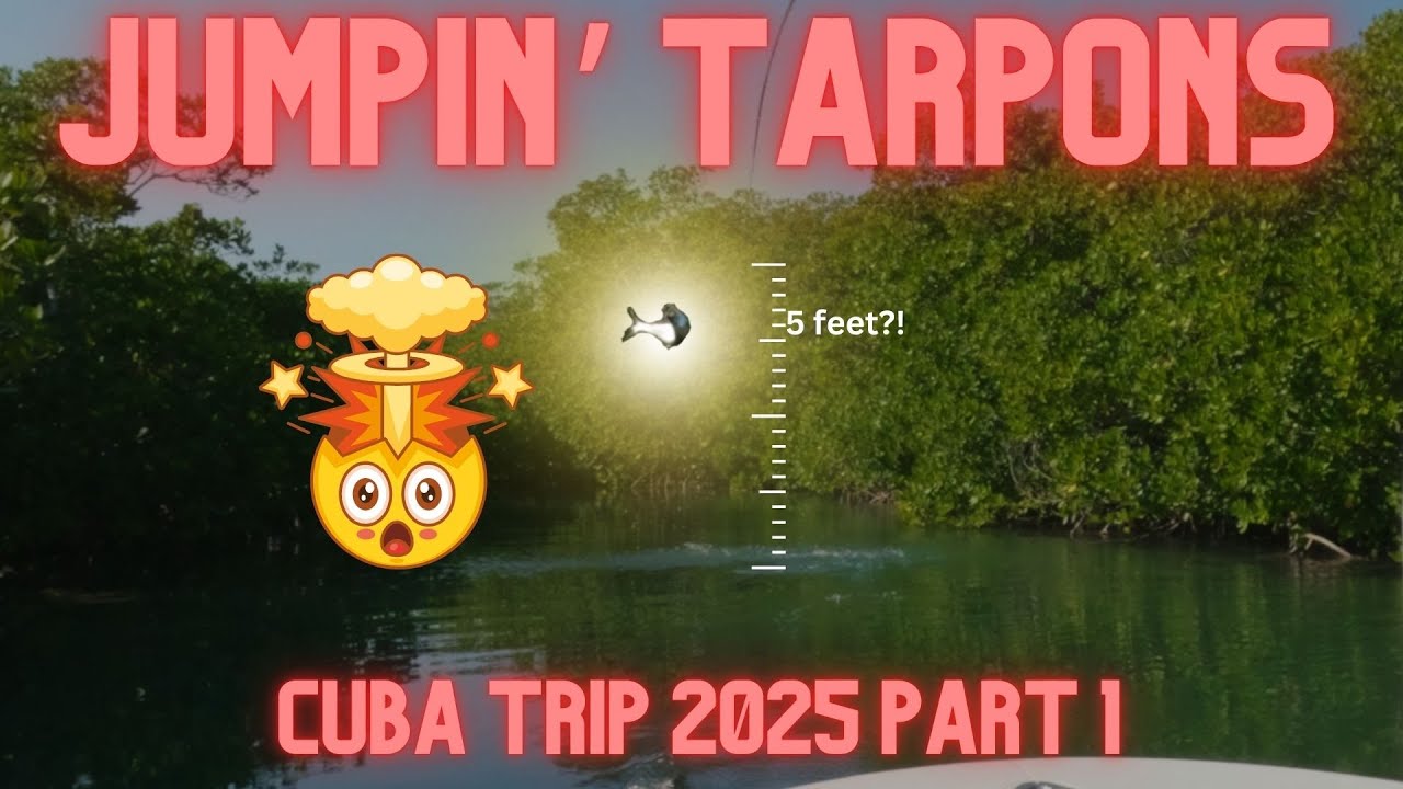 Fly Fishing For Juvenile Tarpon in Cuba - 2025 Hosted Trip Part 1
