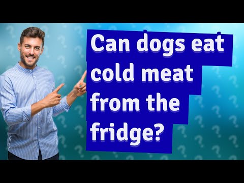 Can dogs eat cold meat from the fridge?