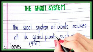 What is shoot system | Definition of shoot system