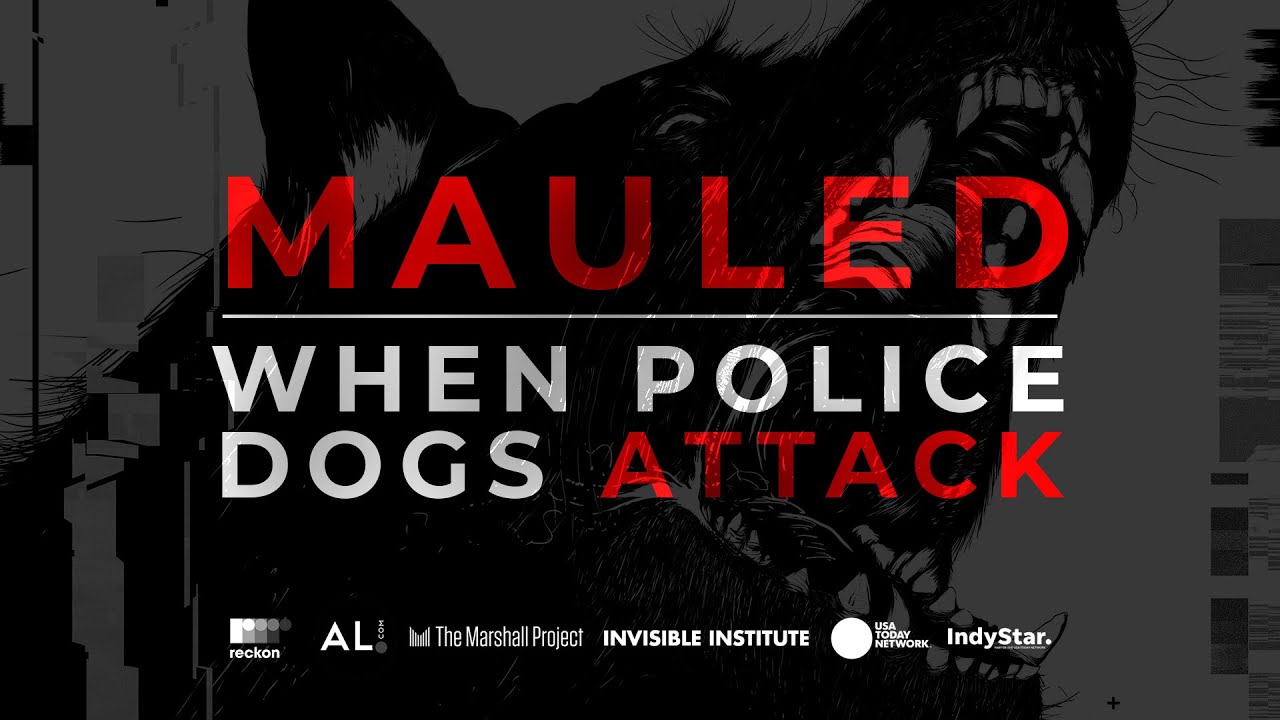 Mauled: When Police Dogs Attack