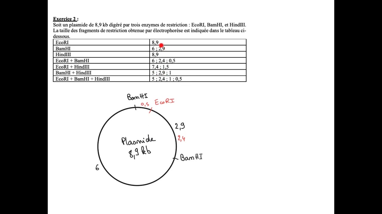 Maîtriser la cartographie de restriction des plasmides un guide complet — free download