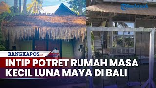 Intip Potret Rumah Masa Kecil Luna Maya di Bali, Dihuni Camer Maxime, Tampak Sederhana & Asri