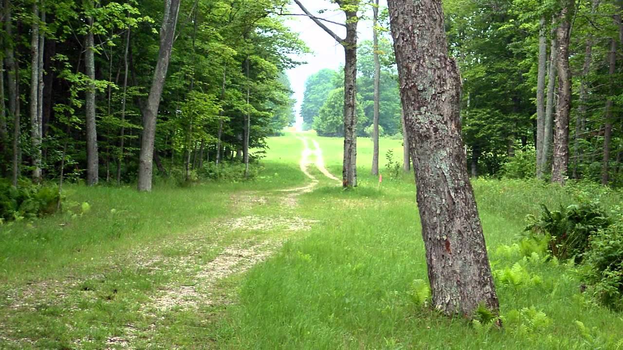 The Four Seasons of Big Manistique Lake