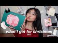 what i got for christmas 2023* edition ᥫ᭡