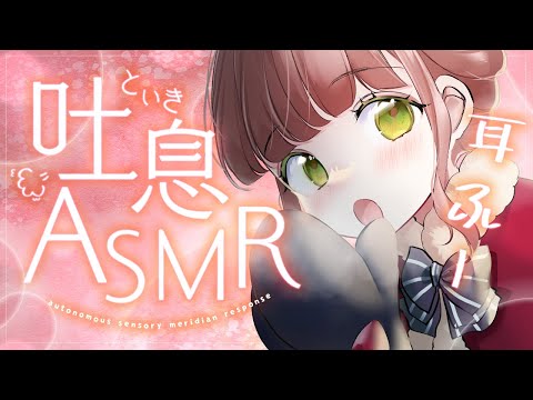 【ASMR/12trigger】耳ふーとマッサージとタッピングでぽかぽかに【 #earcleaningasmr #耳かき Japanese #vtuber  】