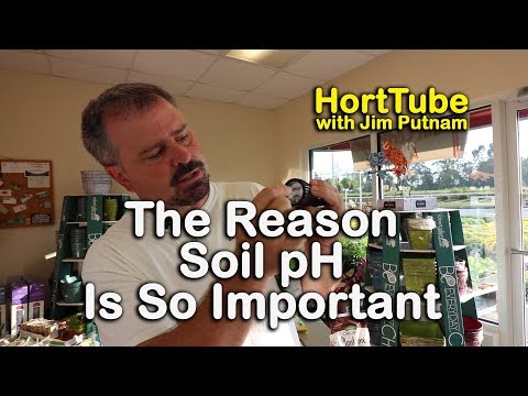 Video: Care este pH-ul solului deșertic?