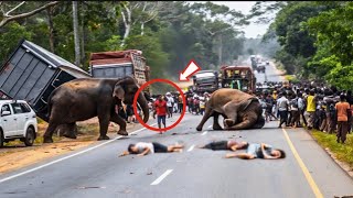 Когда Природа Напоминает, Кто Тут Главный 60 Диких Встреч Животных, Снятых На Камеру