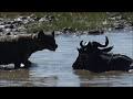 A day in The Ngorongoro Crater