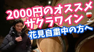 花見自粛の方のためのオススメ【サクラワイン】を紹介