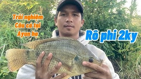 Trải nghiệm đi câu cá tại Ayun hạ | gió to quá khó câu nữa #xuhuongyoutube #dienchanel81 