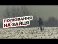 Полювання на зайця/Охота на зайца