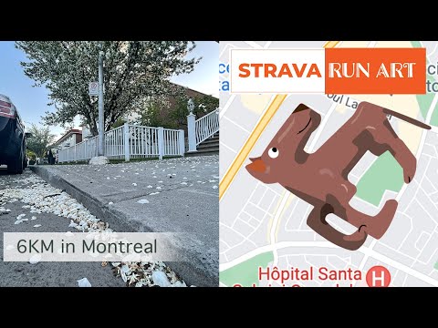 Strava art run in Montreal - a dog of 6KM
