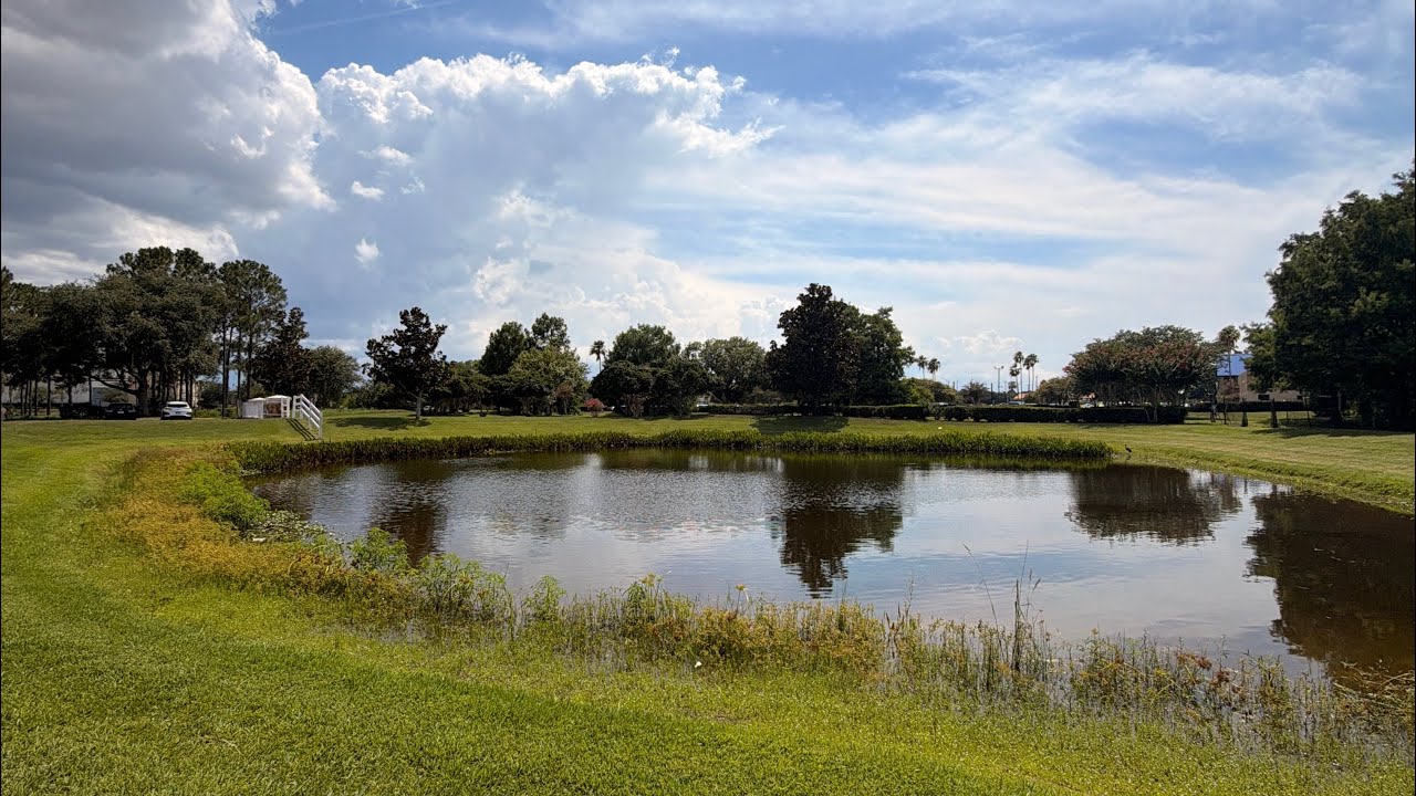True Bass fishing for beginners