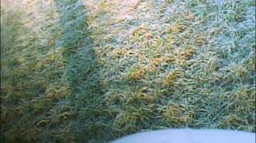 Hawk sky crash on maiden flight. (onboard camera)