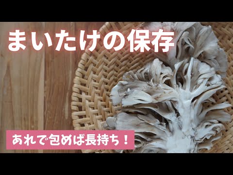 【舞茸の保存】あれをするだけで長持ちします！（島本美由紀の保存から食品ロス削減）