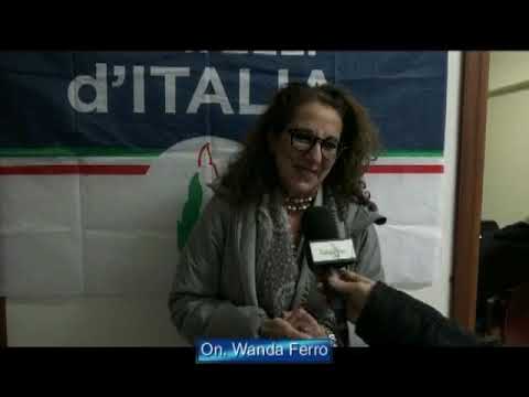 Intervento On. Wanda Ferro su Striscia la Notizia a Catanzaro Intervento On. Wanda Ferro su Striscia la Notizia a Catanzaro