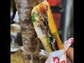 شاورما كيوأيتي شيف  دولة الكويت منطقة الجابريه  قوقل ماب اكتب مجمع اسرار التجاري                     سمعها