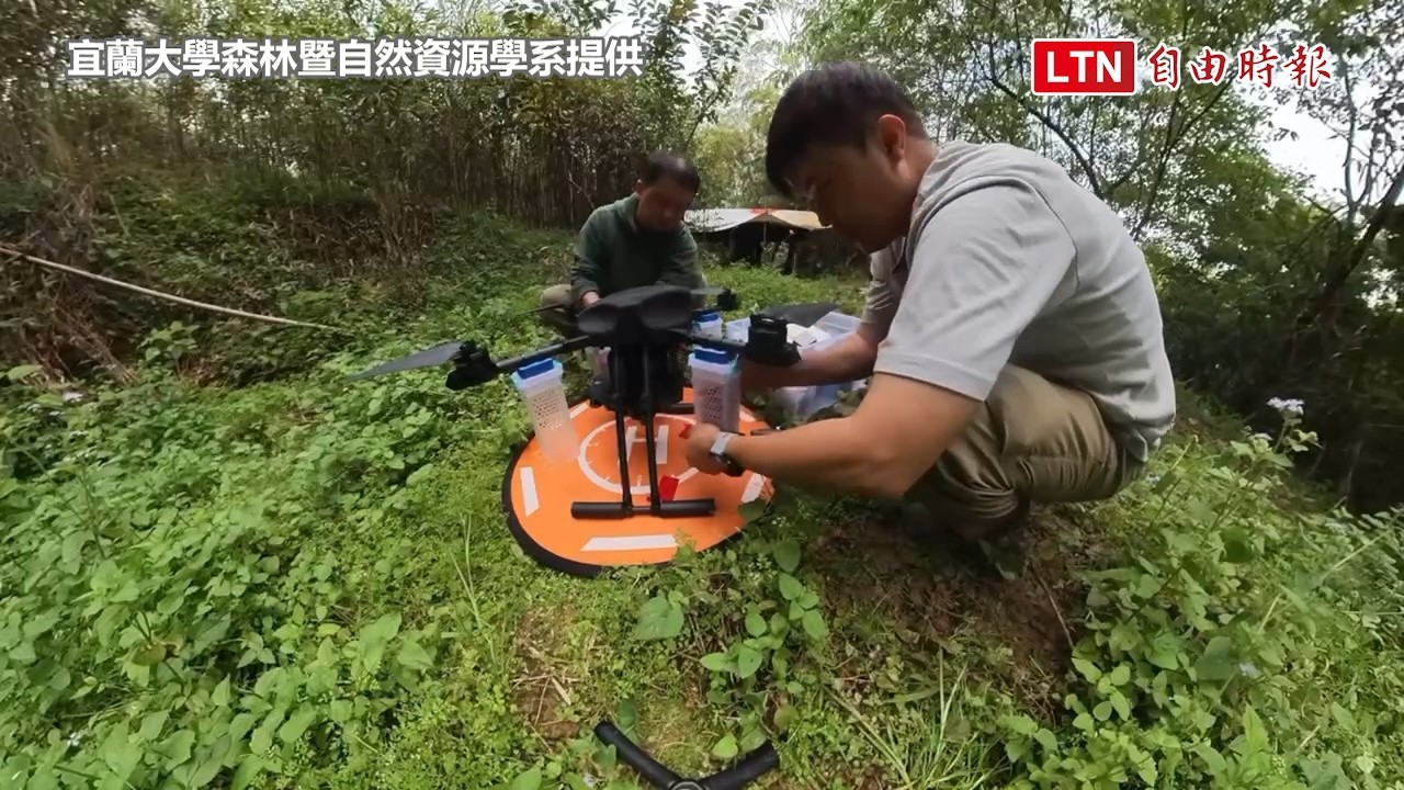 搶救花蓮馬太鞍溪上游裸露禿山 宜蘭大學空投「發芽珍珠」現生機 搶救花蓮馬太鞍溪上游裸露禿山 宜蘭大學空投「發芽珍珠」現生機
