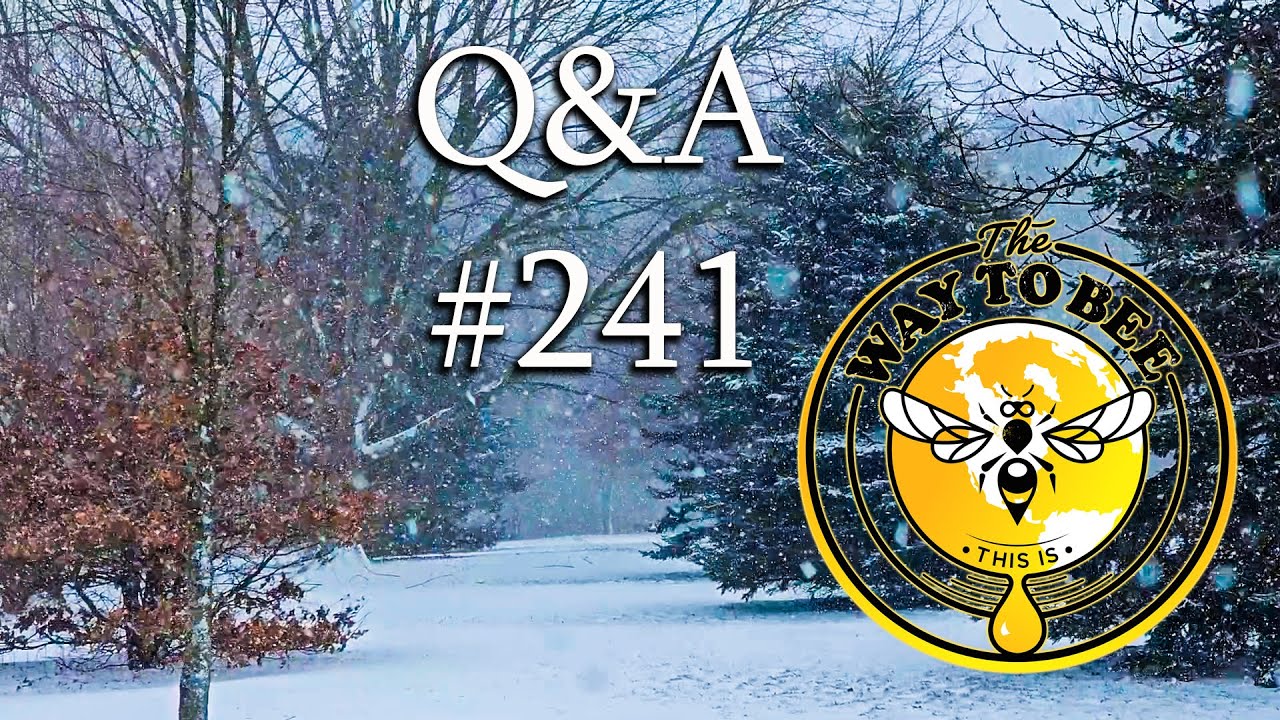 Backyard Beekeeping Questions And Answers Episode 241 How Cold Is Too backyard-beekeeping-questions-and-answers-episode-241-how-cold-is-too