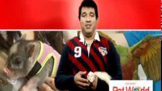 Exotic Pet World Fox FOXRio2 TV Commercial