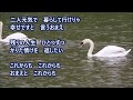 おまえと 木原たけし【COVER】