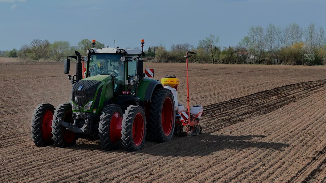 Zaczynamy siew kukurydzy 2025 🌽