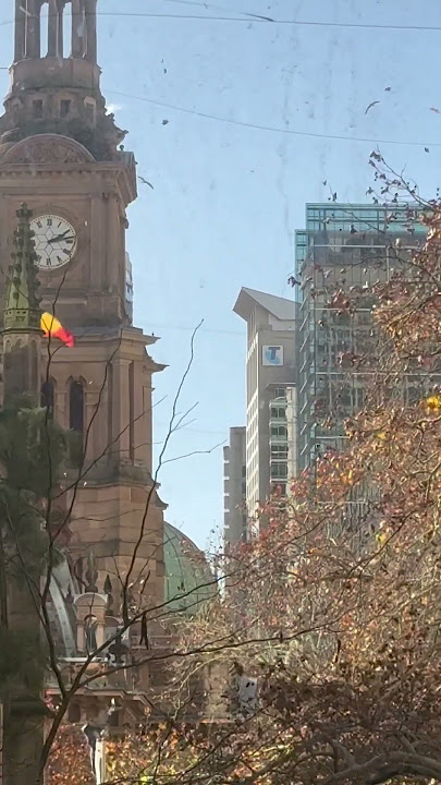 Windy relaxing day in Sydney Australia