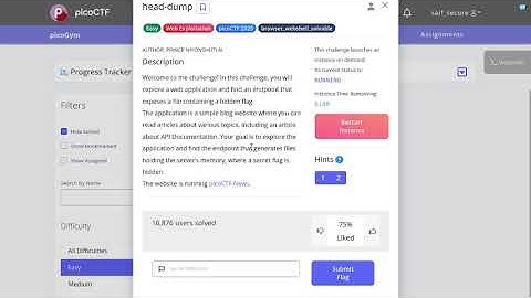 Cracking the Code: picoCTF Web Exploitation - head dump Walkthrough (Beginner Friendly)