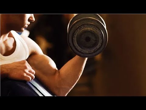 how long to see results from weight lifting