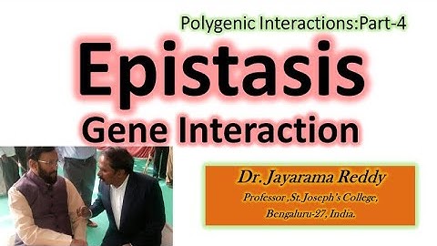 Polygenic Interaction Part-4: Epistasis