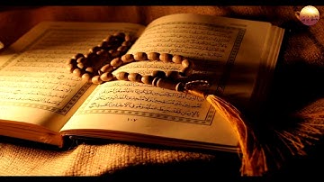 سورة الحجرات بصوت يفوق الوصف