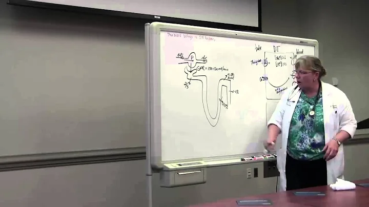 Fundamentals of Diuretics