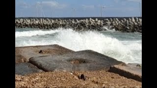 اسكندريه وجمالها وكوبري ستانلي️