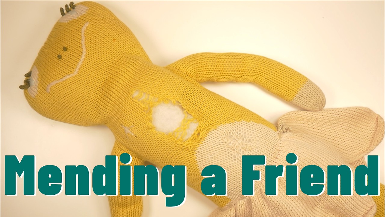 Teen Girl's Beloved Frog Needs Repair!