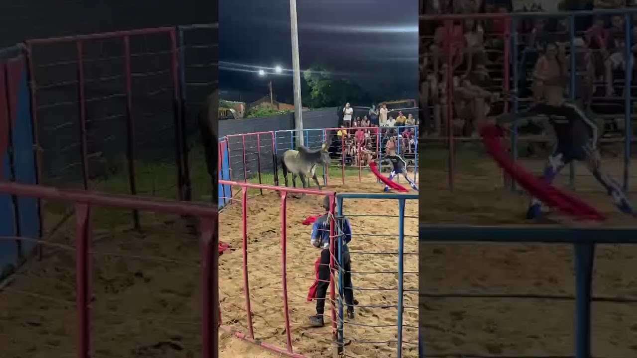 tourada com aritania