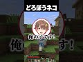 猫泥棒されるVtuber #newtown #マイクラ #星降あめる #だいだら