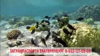 Загранпаспорт в Екатеринбурге. Загранпаспорт в Екатеринбурге.
