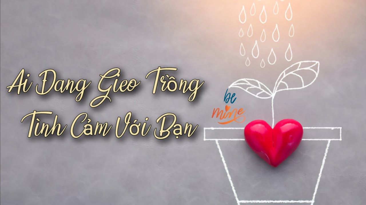🌹Ai Đang Gieo Trồng Tình Cảm Với Bạn?-Timeless🔥🌈💐