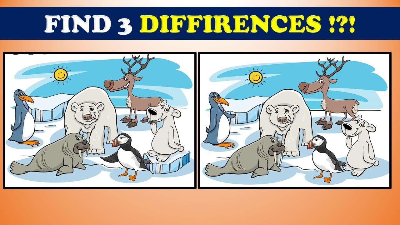 [5 PUZZLES] Spot The Difference : Only Genius Find Differences - YouTube