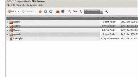 Create a WordPress Plugin with PHP in 10 Minutes