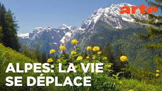 Montagnes, forêts et marais | Paysages d'Europe | ARTE Évasion