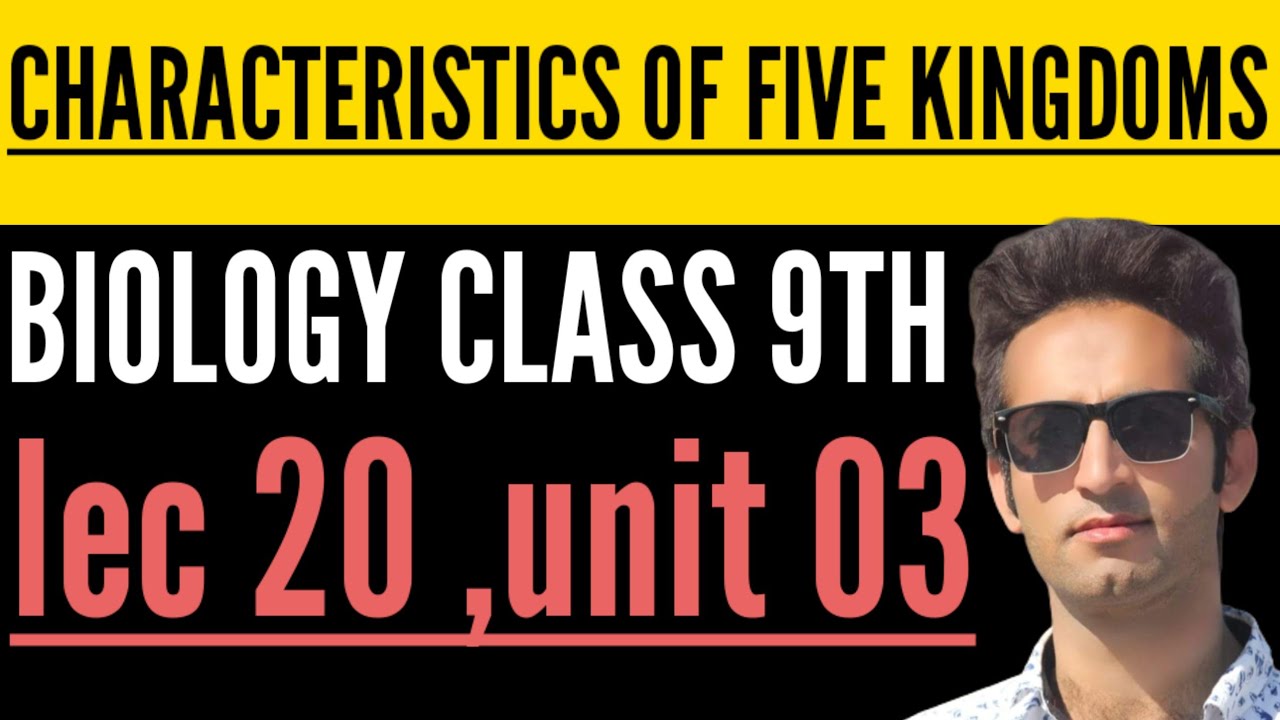 Отличительные характеристики пяти царств | Биология, 9 класс | Глава 3. Биоразнообразие | Лекция 20